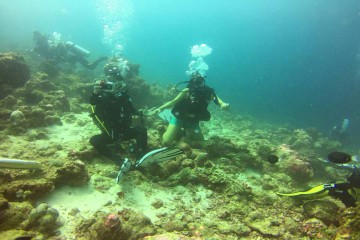 济南海豚---巴厘岛潜水