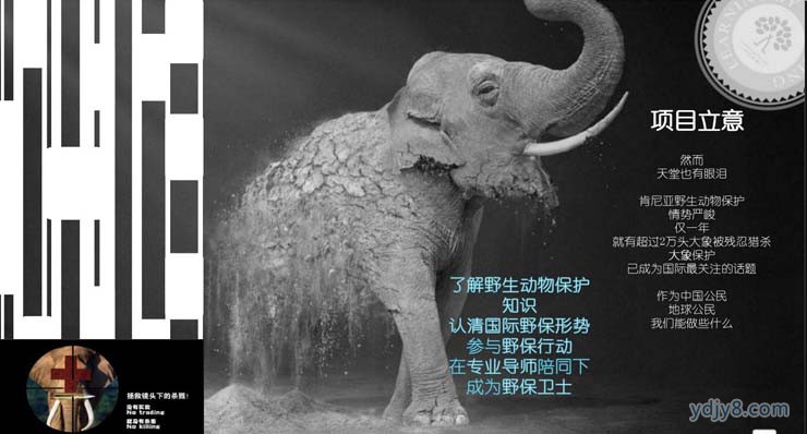 未标题-41