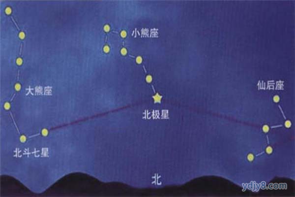 杨梅客
