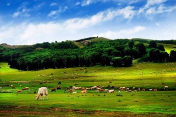 夏天风景