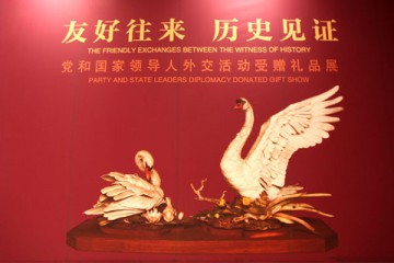 “未来领袖梦”小外交官2