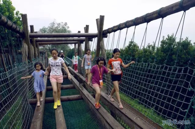 640.webp (21)