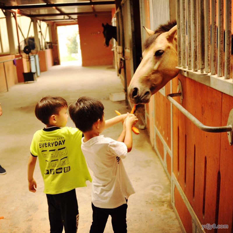 微信图片_20170725104202