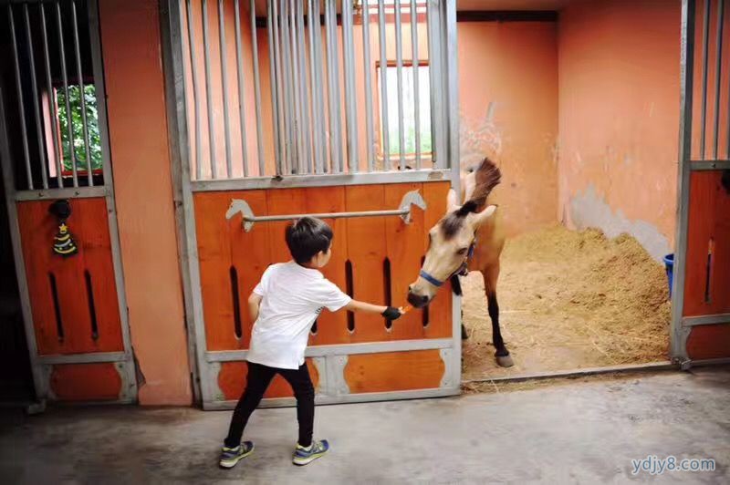 微信图片_20170725104147