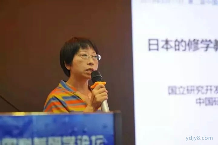 报告专家3