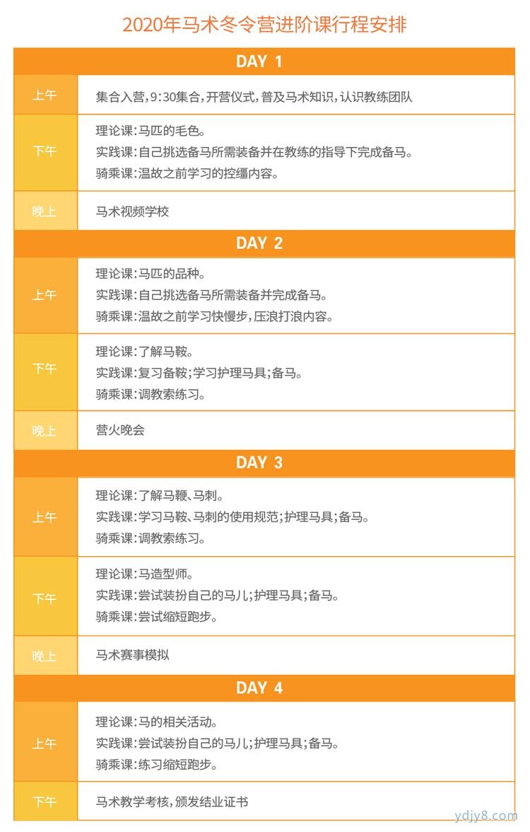 成长马术进阶营1