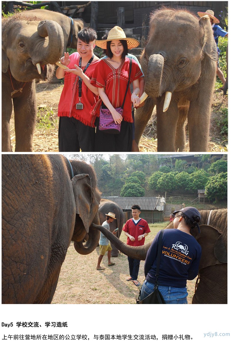 泰国清迈大象亲子义工-23