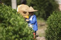 推荐图