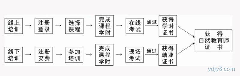 学习流程