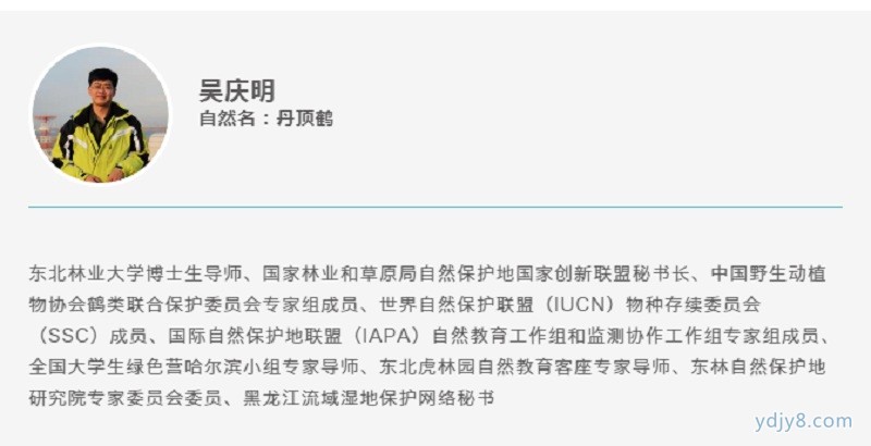 丹顶鹤