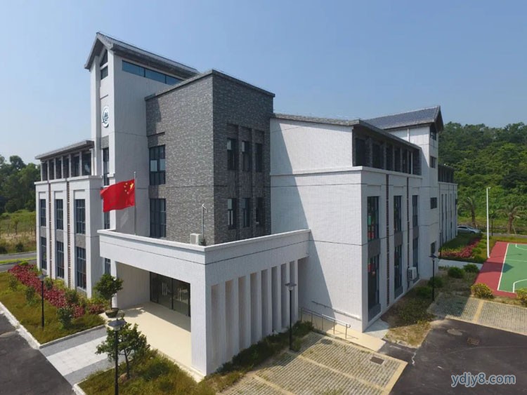 图片11